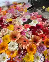 札幌諏訪神社の手水舎