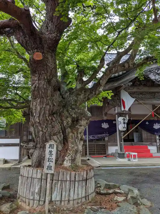 金華山黄金山神社(宮城県)