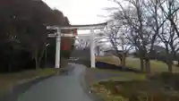 一言主神社の鳥居