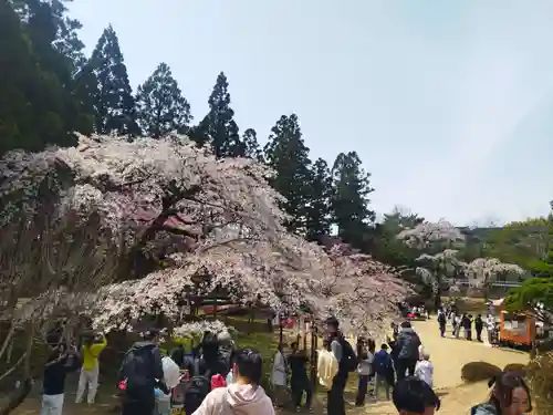 三宝院（三宝院門跡）(京都府)