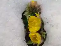 関場神社(福島県)