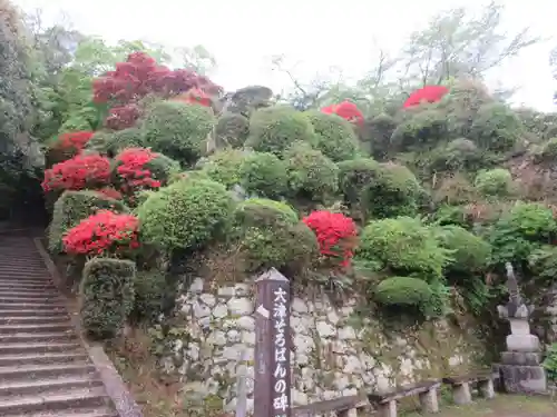 園城寺（三井寺）の庭園