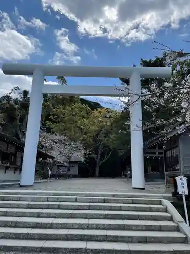 安房神社の鳥居