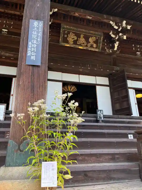 真正極楽寺(真如堂)(京都府)