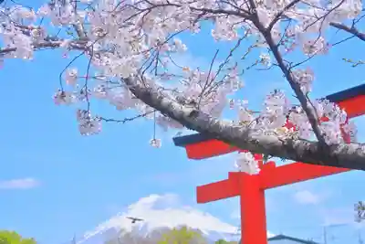 富士山本宮浅間大社(静岡県)