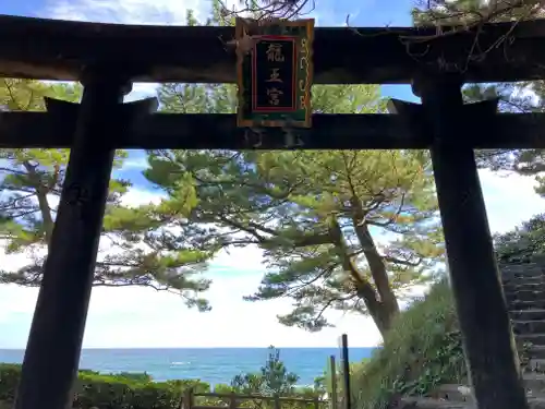 海津見神社（桂浜龍王宮）の鳥居