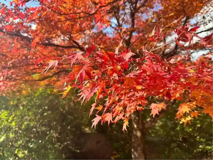 高源寺(兵庫県)