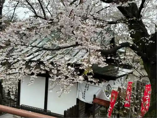 喜多院(埼玉県)