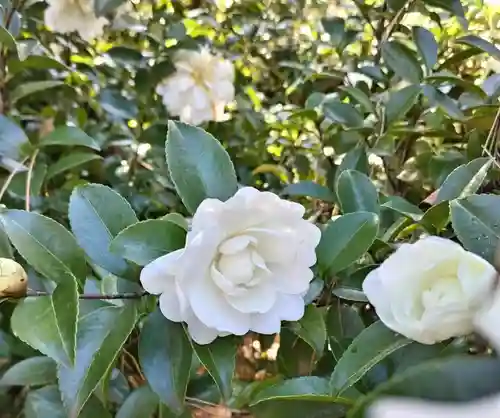 豊景神社(福島県)