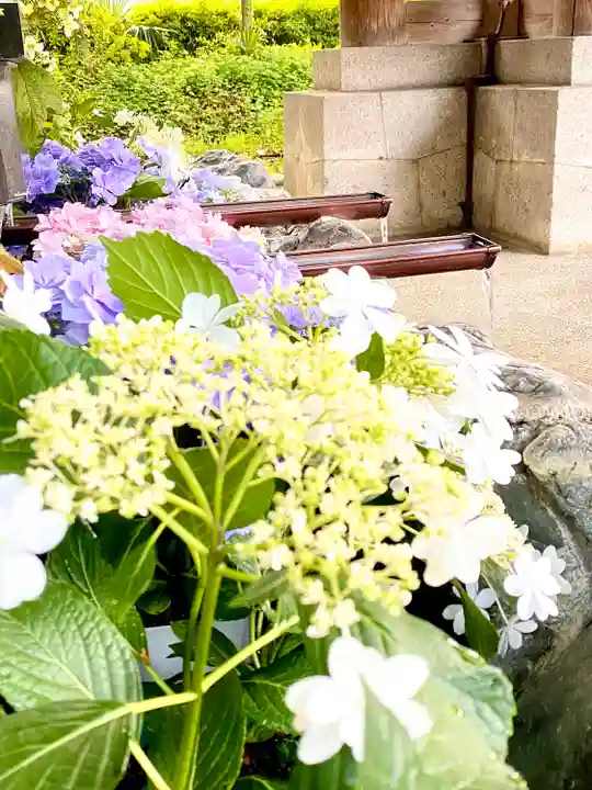 滋賀県護国神社の自然
