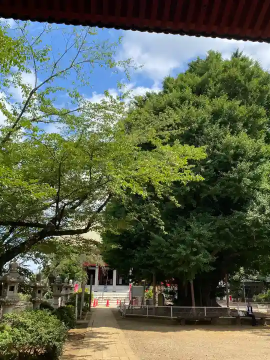 千葉寺(千葉県)