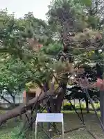 江南神社(北海道)