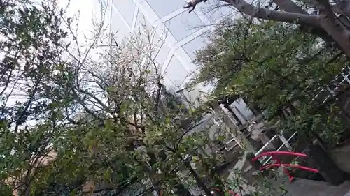 磐井神社のその他建物