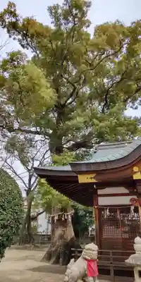 梶無神社(大阪府)