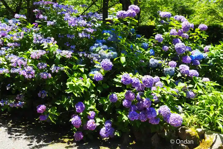 金剛輪寺(滋賀県)