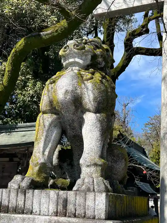 秩父神社(埼玉県)