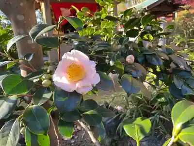 伊勢の国 四天王寺(三重県)