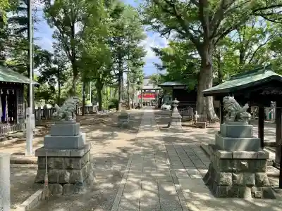 小杉神社(神奈川県)