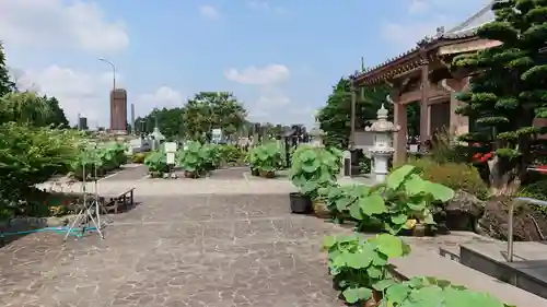 代通寺のその他建物