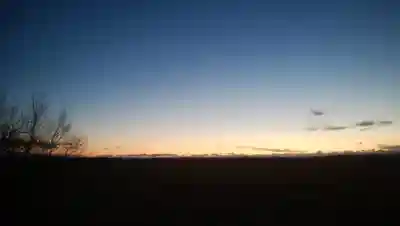 大津稲荷神社の景色