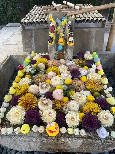 くろ谷 金戒光明寺の手水舎