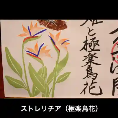ストレリチア(極楽鳥花)