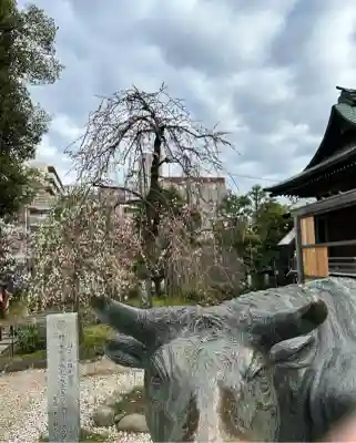 布多天神社(東京都)
