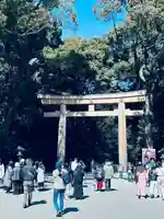 明治神宮(東京都)