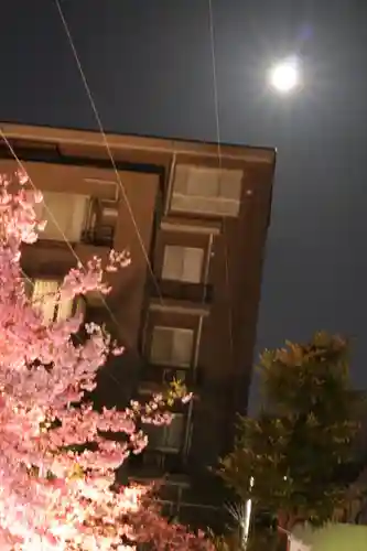 桜神宮(東京都)