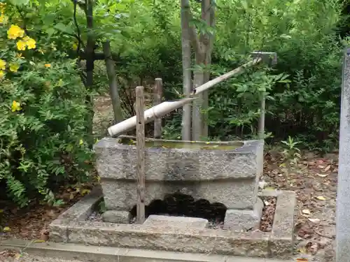 亀之森住吉神社の手水