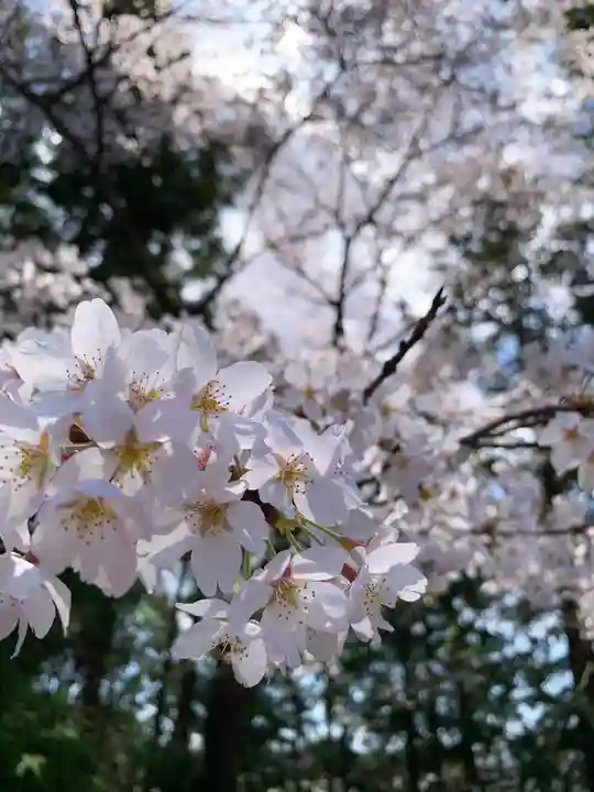 滑川神社 - 仕事と子どもの守り神(福島県)