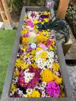 下野 星宮神社の手水舎