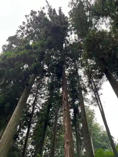 大宮温泉神社(栃木県)