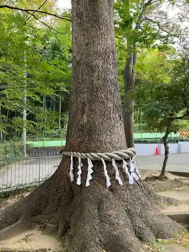 久地神社(神奈川県)