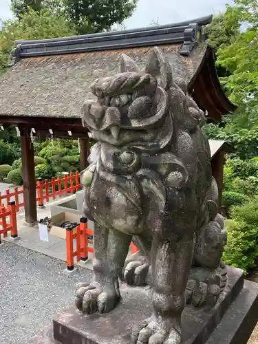 建勲神社の狛犬