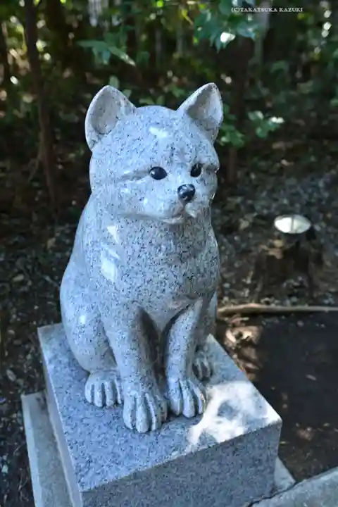 座間神社(神奈川県)