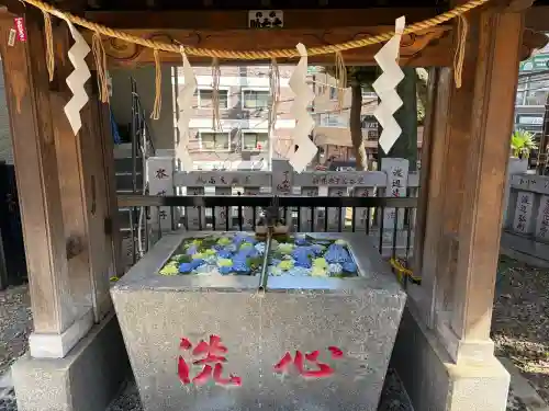 高円寺氷川神社(東京都)