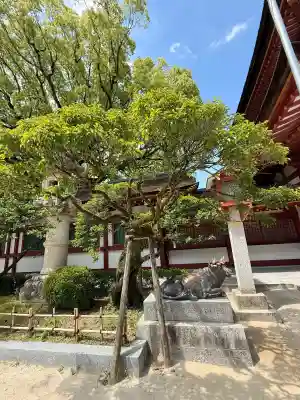 太宰府天満宮の{uncategorized: "未分類", other: "その他", undefined: "問題あり", building: "その他建物", grave: "お墓", sacred_gate: "鳥居", guardian: "狛犬", statue: "像", buddha: "仏像", history: "歴史", nature: "自然", garden: "庭園", animal: "動物", pagoda: "塔", temizu: "手水舎", mountain_gate: "山門・神門", sanctuary: "本殿・本堂", subordinate: "末社・摂社", art: "芸術", scenery: "景色", jizo: "地蔵", ema: "絵馬", goshuin: "御朱印", omikuji: "おみくじ", items: "授与品その他", amulet: "お守り", goshuincho: "御朱印帳", eats: "食事", festival: "お祭り", votive_dance: "神楽", shichigosan: "七五三参", wedding: "結婚式", experience: "体験その他", initially: "初詣", around: "周辺", anti_infection: "感染症対策"}