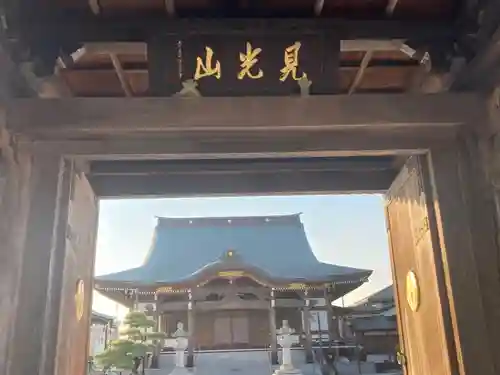 大念寺の山門