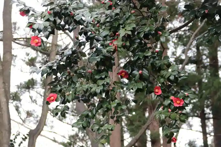 阿久津「田村神社」(郡山市阿久津町)旧社名:伊豆箱根三嶋三社の自然