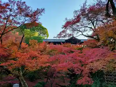 東福禅寺(東福寺)(京都府)
