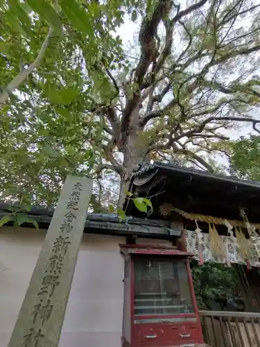 新熊野神社のその他建物