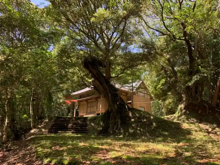 天照大神社の自然