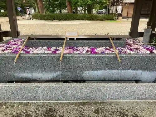射水神社の{uncategorized: "未分類", other: "その他", undefined: "問題あり", building: "その他建物", grave: "お墓", sacred_gate: "鳥居", guardian: "狛犬", statue: "像", buddha: "仏像", history: "歴史", nature: "自然", garden: "庭園", animal: "動物", pagoda: "塔", temizu: "手水舎", mountain_gate: "山門・神門", sanctuary: "本殿・本堂", subordinate: "末社・摂社", art: "芸術", scenery: "景色", jizo: "地蔵", ema: "絵馬", goshuin: "御朱印", omikuji: "おみくじ", items: "授与品その他", amulet: "お守り", goshuincho: "御朱印帳", eats: "食事", festival: "お祭り", votive_dance: "神楽", shichigosan: "七五三参", wedding: "結婚式", experience: "体験その他", initially: "初詣", around: "周辺", anti_infection: "感染症対策"}