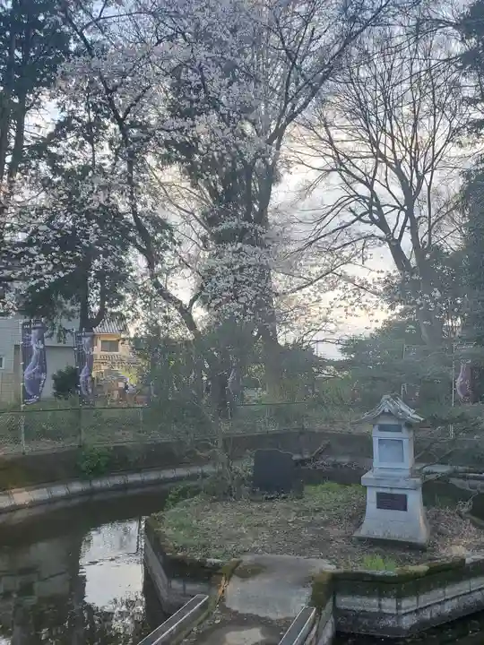 前玉神社(埼玉県)