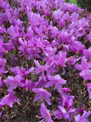 渭信寺(愛知県)