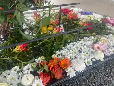 武蔵野坐令和神社の{uncategorized: "未分類", other: "その他", undefined: "問題あり", building: "その他建物", grave: "お墓", sacred_gate: "鳥居", guardian: "狛犬", statue: "像", buddha: "仏像", history: "歴史", nature: "自然", garden: "庭園", animal: "動物", pagoda: "塔", temizu: "手水舎", mountain_gate: "山門・神門", sanctuary: "本殿・本堂", subordinate: "末社・摂社", art: "芸術", scenery: "景色", jizo: "地蔵", ema: "絵馬", goshuin: "御朱印", omikuji: "おみくじ", items: "授与品その他", amulet: "お守り", goshuincho: "御朱印帳", eats: "食事", festival: "お祭り", votive_dance: "神楽", shichigosan: "七五三参", wedding: "結婚式", experience: "体験その他", initially: "初詣", around: "周辺", anti_infection: "感染症対策"}