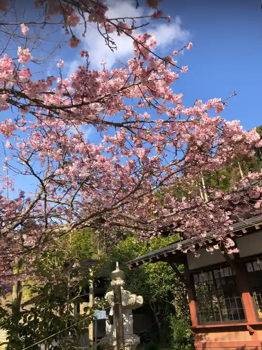 菅原神社(鹿児島県)