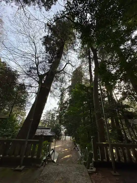 根小屋諏訪神社(神奈川県)