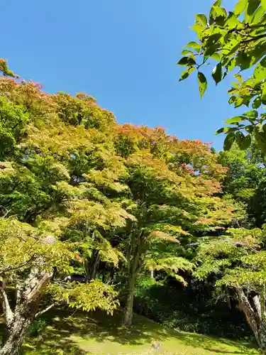 土津神社｜こどもと出世の神さまの景色